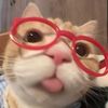 _ngothuyhuong_