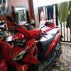 vardit15_