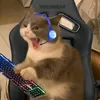 catdaboo
