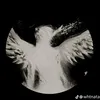 anna_bernardes0