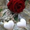 lumayy.husauin