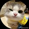chitbaby92