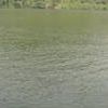 dyto2j4zcsqp