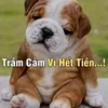 user926118761801