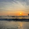 nils_969