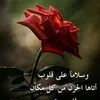 user9036569912535