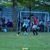 panjiagus22