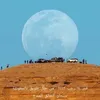mohamed_k_1