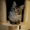 elodie.rrr