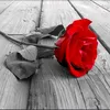 redroooseee