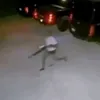 nenodebil