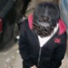 dama_elmrr