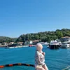 gulu_gulu86