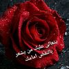 mremmrem825