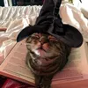 phoebe_buffeeyy