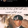 momoo844