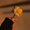 0fr09