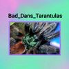 bad_dans_tarantulas