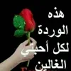 iraqimahdi73