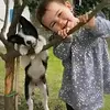 hernandezkarli000