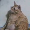 mohammadjad45