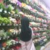 rina_rwrr