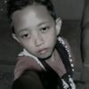 fandra_123v