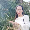 userhongduyen1234