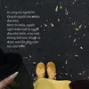 zanghgzh
