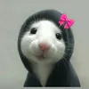 xianggifinds