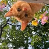 shecatmanlalait25