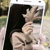 raniamohmaed