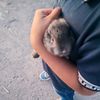 maxhernandez8733