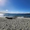kelley_8374