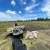 vannluan67ag