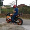 mangg55