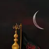 11111dounia1