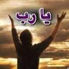 roaamohammed929
