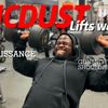 vincdust