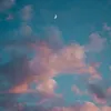 nguyenphuocthan43