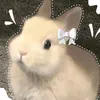 phuowtheao07