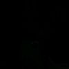 ssho07_