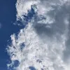 ni_99ah