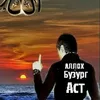 ali_12_45