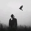 .wlwb
