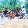 agoesmaulana