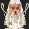 nosoyyooka