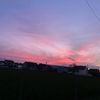 erminrakovica1
