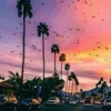 ari_24630