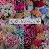 riamriam246